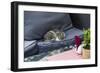 A Cat on a Restaurant Chair-Massimo Borchi-Framed Photographic Print