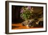 A cat taking a nap on a sunny table-Mark A Johnson-Framed Premium Photographic Print