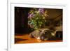 A cat taking a nap on a sunny table-Mark A Johnson-Framed Photographic Print