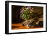 A cat taking a nap on a sunny table-Mark A Johnson-Framed Photographic Print