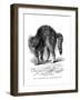 A Cat Terrified by a Dog, 1872-null-Framed Giclee Print