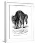 A Cat Terrified by a Dog, 1872-null-Framed Giclee Print