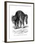 A Cat Terrified by a Dog, 1872-null-Framed Giclee Print