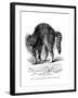 A Cat Terrified by a Dog, 1872-null-Framed Giclee Print