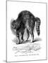 A Cat Terrified by a Dog, 1872-null-Mounted Giclee Print