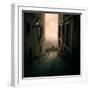 A Cat Watching the Moon in a Dark Street-Luis Beltran-Framed Photographic Print