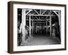 A Catholic Mass is Celebrated in a Stable in Cherbourg, France-null-Framed Premium Photographic Print