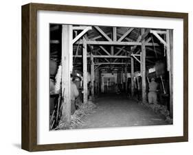 A Catholic Mass is Celebrated in a Stable in Cherbourg, France-null-Framed Premium Photographic Print