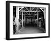 A Catholic Mass is Celebrated in a Stable in Cherbourg, France-null-Framed Premium Photographic Print