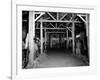 A Catholic Mass is Celebrated in a Stable in Cherbourg, France-null-Framed Photographic Print