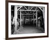 A Catholic Mass is Celebrated in a Stable in Cherbourg, France-null-Framed Photographic Print