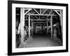 A Catholic Mass is Celebrated in a Stable in Cherbourg, France-null-Framed Photographic Print