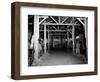 A Catholic Mass is Celebrated in a Stable in Cherbourg, France-null-Framed Photographic Print