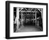 A Catholic Mass is Celebrated in a Stable in Cherbourg, France-null-Framed Photographic Print