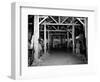 A Catholic Mass is Celebrated in a Stable in Cherbourg, France-null-Framed Photographic Print