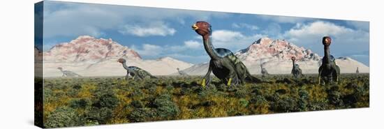 A Caudipteryx Nesting Ground from the Cretaceous Period-null-Stretched Canvas