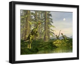 A Caudipteryx Watching Dilong Dinosaurs Approaching-Stocktrek Images-Framed Art Print