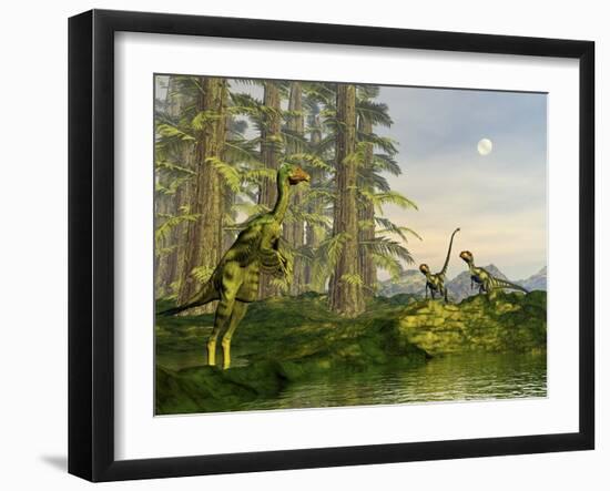 A Caudipteryx Watching Dilong Dinosaurs Approaching-Stocktrek Images-Framed Art Print