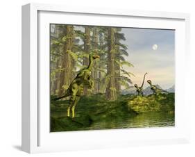A Caudipteryx Watching Dilong Dinosaurs Approaching-Stocktrek Images-Framed Art Print