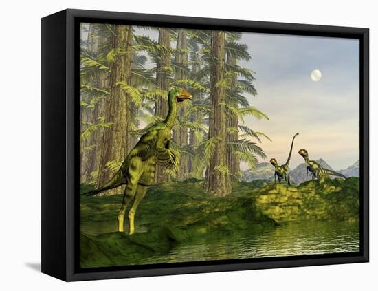 A Caudipteryx Watching Dilong Dinosaurs Approaching-Stocktrek Images-Framed Stretched Canvas