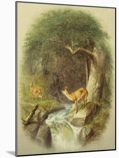 A Cautious Crossing-William Holbrook Beard-Mounted Giclee Print