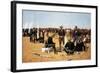 A Cavalryman's Breakfast on the Plains-Frederic Sackrider Remington-Framed Art Print