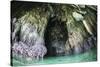 A Cave Has Formed Inside a Limestone Island in Raja Ampat-Stocktrek Images-Stretched Canvas