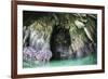 A Cave Has Formed Inside a Limestone Island in Raja Ampat-Stocktrek Images-Framed Photographic Print