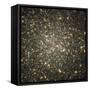 A Celestial Snow Globe of Stars-null-Framed Stretched Canvas