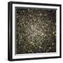 A Celestial Snow Globe of Stars-null-Framed Photographic Print