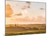 A Central Coast Farm Nipomo, California-Daniel Kuras-Mounted Photographic Print