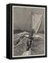 A Ceylon Surf Boat-Joseph Nash-Framed Stretched Canvas