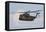 A Ch-53Gs of the German Army-null-Framed Stretched Canvas