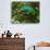 A Chameleon Sits on a Branch of a Tree in Madagascar's Mantadia National Park Sunday June 18, 2006-Jerome Delay-Premium Photographic Print displayed on a wall