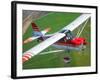 A Champion Aircraft Citabria in Flight-Stocktrek Images-Framed Photographic Print