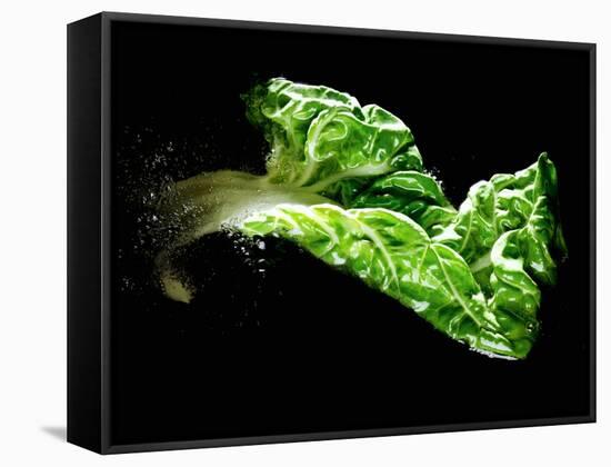 A Chard Leaf in Oil-null-Framed Stretched Canvas