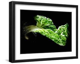 A Chard Leaf in Oil-null-Framed Photographic Print