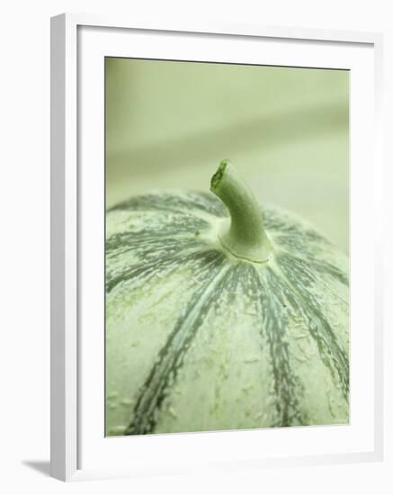 A Charentais Melon-Christophe Madamour-Framed Photographic Print