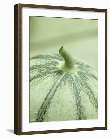 A Charentais Melon-Christophe Madamour-Framed Photographic Print