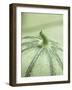 A Charentais Melon-Christophe Madamour-Framed Photographic Print