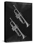 A Charles Gerard Conn French Brass 2-B New World Symphony Trumpet and a 22-B New York Symphony Trum-null-Stretched Canvas