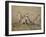 A Cheetah Family on the Grassy Plains of Masai Mara National Reserve-Nigel Pavitt-Framed Photographic Print