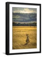 A Cheetah Watching His Surrounding In The Maasai Mara, Kenya-Axel Brunst-Framed Photographic Print