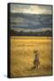 A Cheetah Watching His Surrounding In The Maasai Mara, Kenya-Axel Brunst-Framed Stretched Canvas