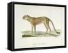 A Cheetah-Werner-Framed Stretched Canvas