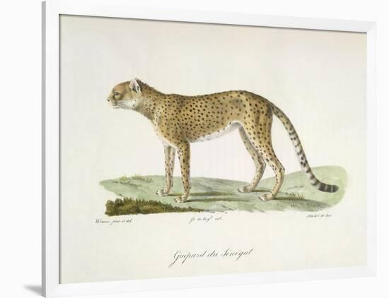 A Cheetah-Werner-Framed Giclee Print