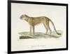 A Cheetah-Werner-Framed Giclee Print