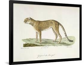 A Cheetah-Werner-Framed Giclee Print