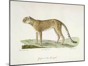 A Cheetah-Werner-Mounted Giclee Print