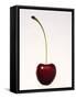 A Cherry Against a White Background-null-Framed Stretched Canvas